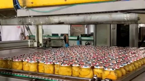 食品車間生產(chǎn)罐頭,全部采用自動化機械生產(chǎn),工人們上班輕松多了